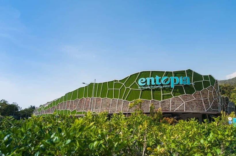 Penang: Entopia General Admission Tickets - The Cocoon turns insects into a lesson