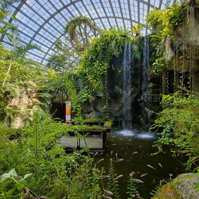 Penang: Entopia General Admission Tickets - A practical order for your visit