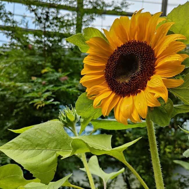 Penang: Entopia General Admission Tickets - Tips for getting more from the visit