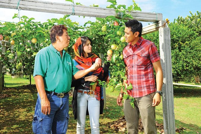 Penang Full Day Tour with Penang Hill, Kek Lok Si & Fruit Farm - Kek Lok Si Temple brings several traditions together