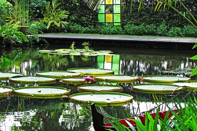 Penang Round Island Tour With Tropical Spice Garden & Entopia Butterfly Farm - Starting at the Penang Esplanade