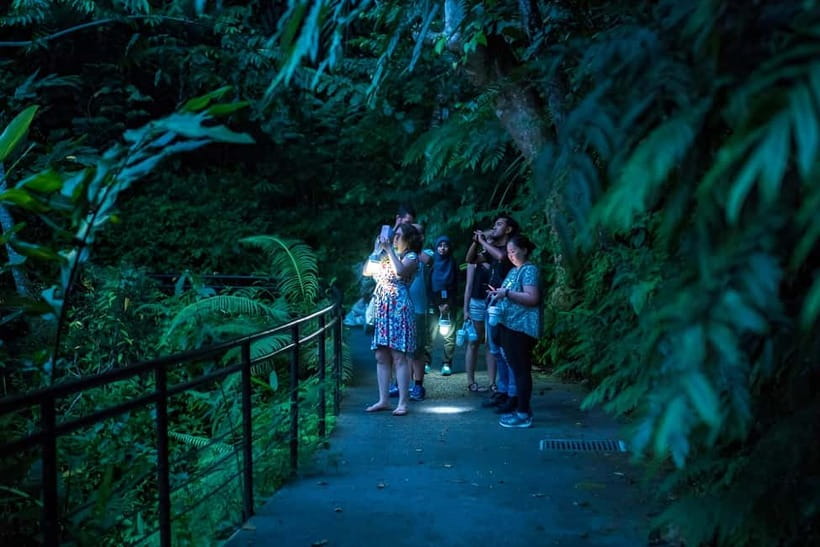 Penang: The Habitat Penang Hill Entry Ticket - Key points to know before you go