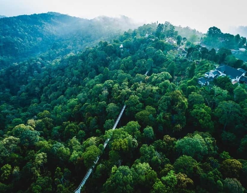 Penang: The Habitat Penang Hill Entry Ticket - Who will enjoy The Habitat most?
