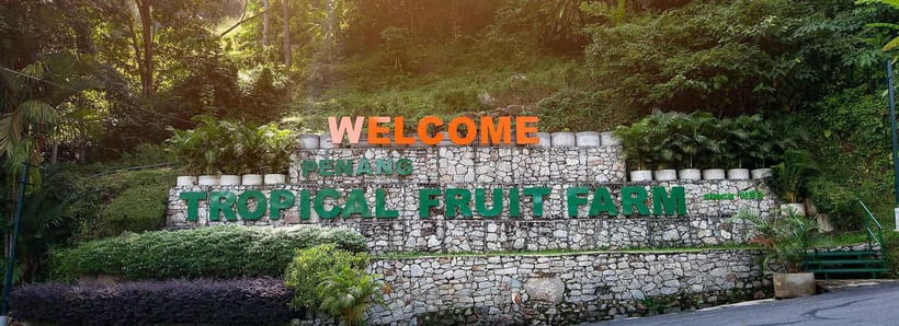 Penang: Tropical Fruit Farm Ticket - A fruit farm high above Teluk Bahang