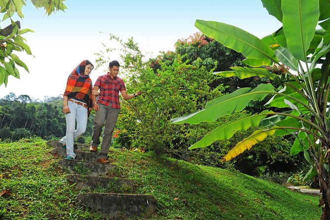 Penang Tropical Fruit Farm with Fruit Tasting - Who will enjoy this outing most?