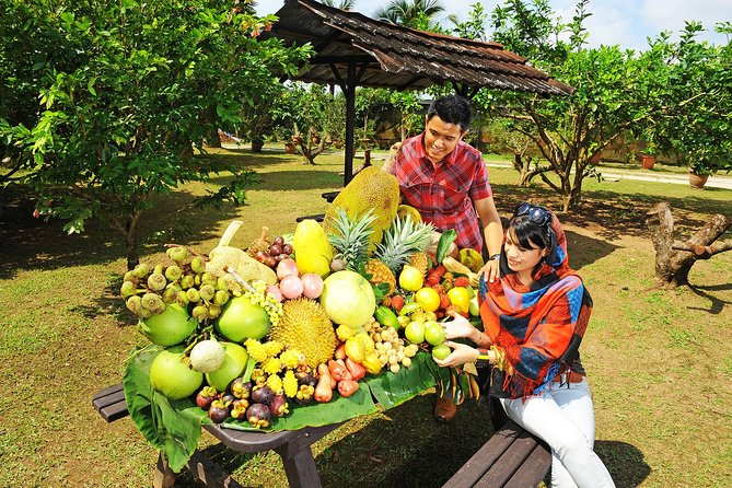 Penang Tropical Fruit Farm with Fruit Tasting - Tasting fruit at the farm buffet