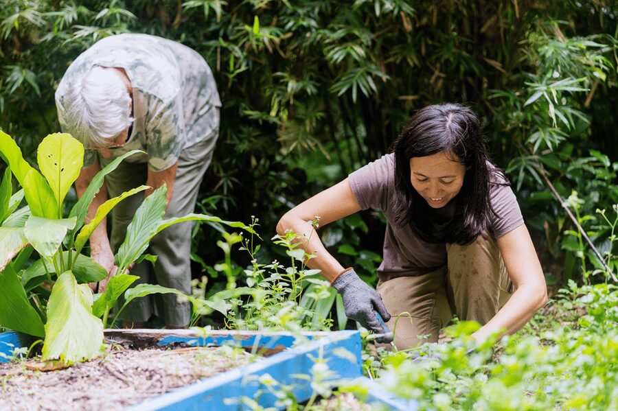 Penang: Tropical Spice Garden Entrance Ticket & Guided Tours - What the Tropical Spice Garden feels like