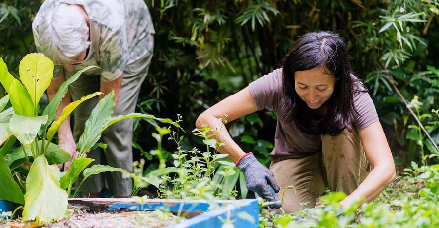 Penang: Tropical Spice Garden Entrance Ticket & Guided Tours - Learning how spices and herbs grow