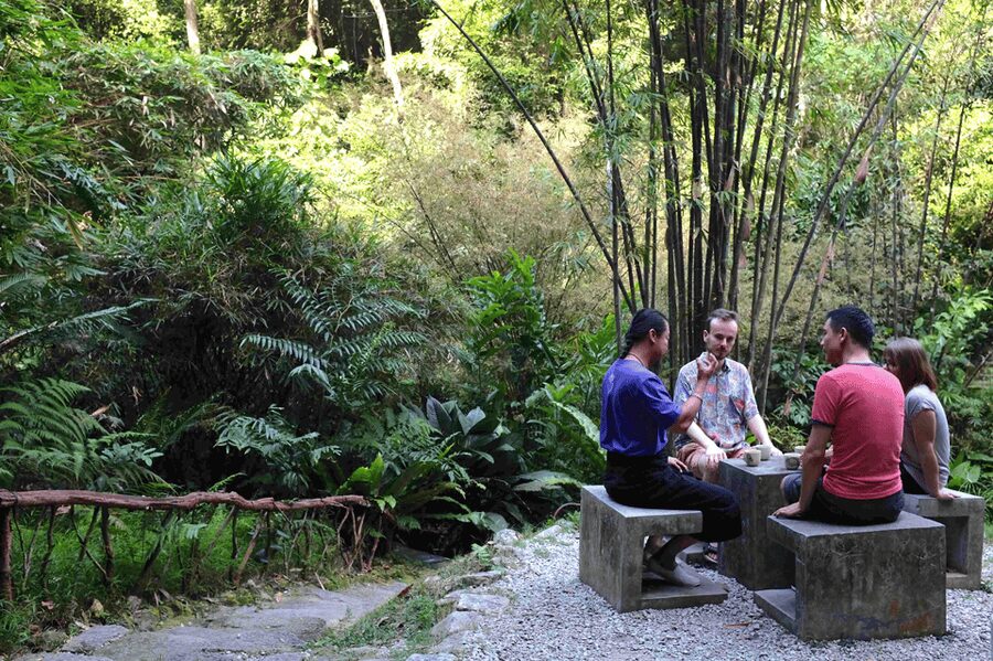 Penang: Tropical Spice Garden Entrance Ticket & Guided Tours - Is $8 good value?