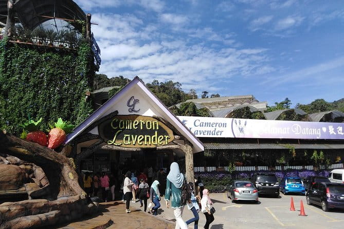 Private: Cameron Highlands 2 days 1 night Trip - Lata Iskandar gives day one a natural start