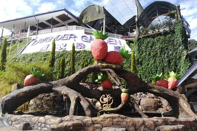 Private: Cameron Highlands 2 days 1 night Trip - Mossy Forest is the strongest reason to take day two