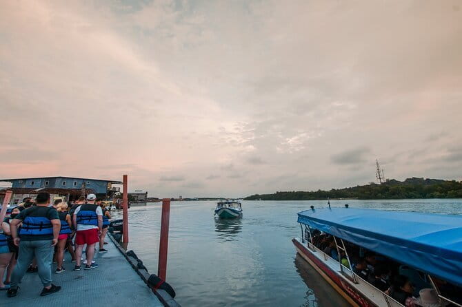 Private Fireflies Tour with Blue Tears and Seafood Dinner - Key points to know before you go