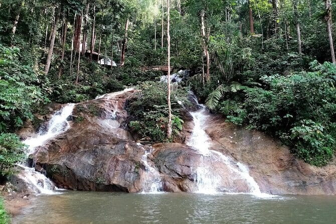 Private Fireflies Tour with Blue Tears and Seafood Dinner - Should you book the Fireflies, Blue Tears, and Seafood Dinner tour?