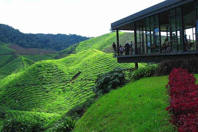 Private Full-Day Cameron Highlands Nature Tour from Kuala Lumpur - The early departure and mountain road from Tapah