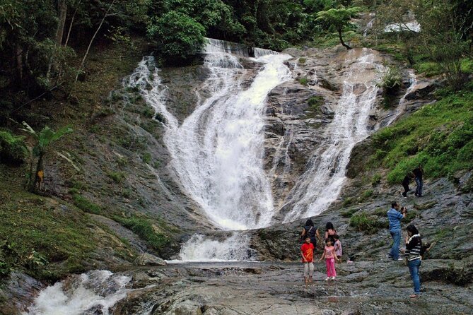Private Full-Day Cameron Highlands Nature Tour from Kuala Lumpur - Tea country at Cameron Valley