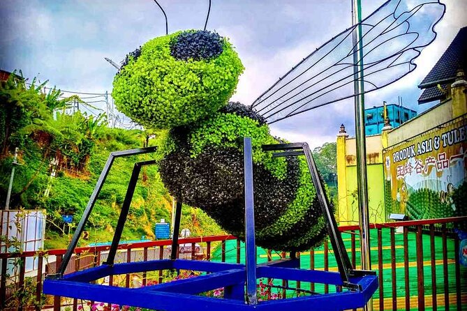 Private Full-Day Cameron Highlands Nature Tour from Kuala Lumpur - Brinchang and Sam Poh Temple
