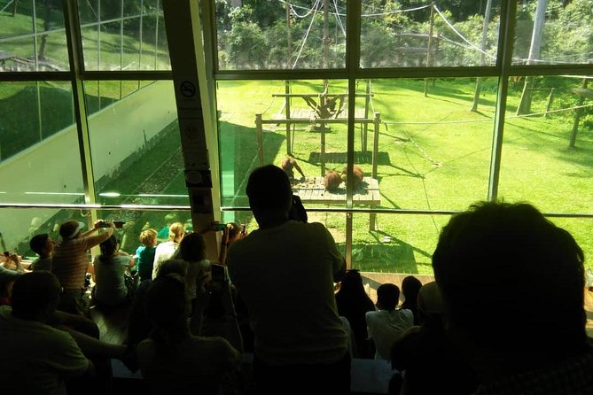 Private Full Day Sepilok Orang Utan, Bornean Sun Bear and Rainforest Discovery Center Tour - Why this Sepilok day works so well