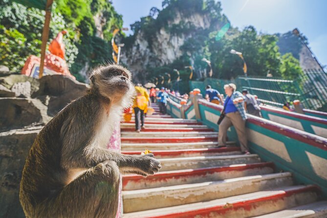 Private Half-Day Batu Caves and Cutural Tour in Kuala Lumpur - Central Market for souvenirs and local crafts