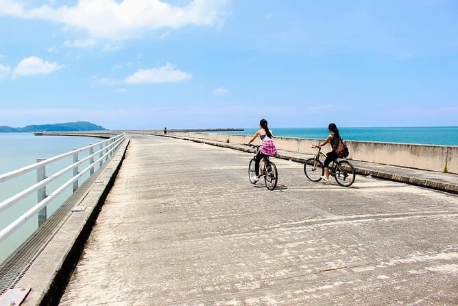Private Half Day Cycling Tour in Langkawi - Key points about the four-hour ride