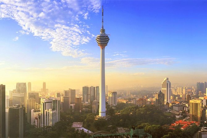 Private Half-Day Kuala Lumpur City Tour with KL Tower Observation Deck Ticket - What the private driver-guide service is really like
