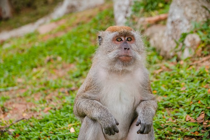 Private Kanching Waterfalls with Batu Caves & Ramayana Caves Tour - Two hours among Kanching’s seven waterfalls