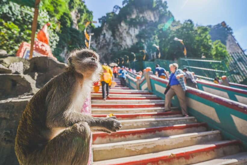 Private KL City Tour with Petronas Twin Towers & Batu Caves - Petronas Twin Towers: the day’s headline view