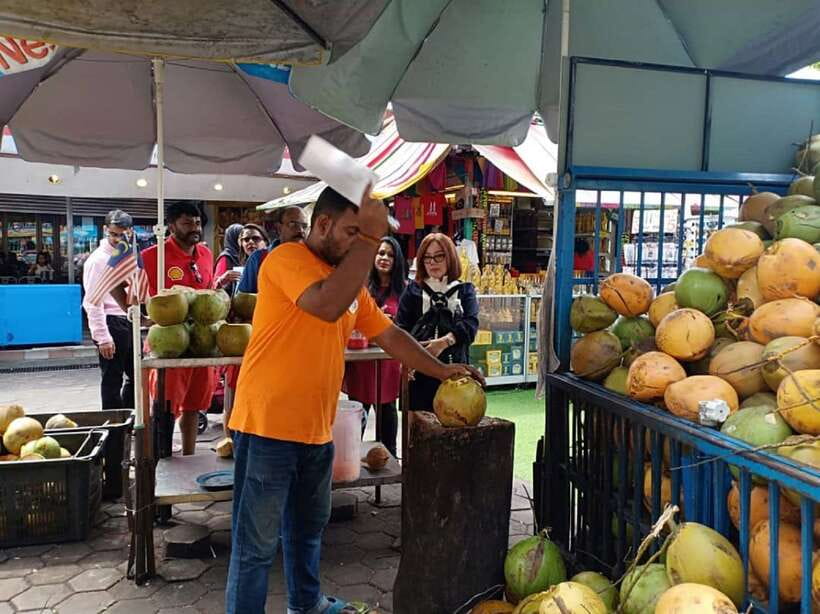 Private KL City Tour with Petronas Twin Towers & Batu Caves - Lake Gardens and the national landmarks
