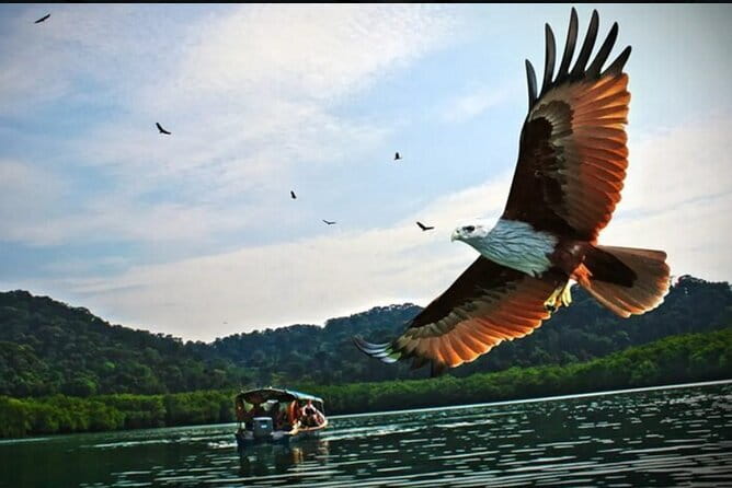 Private Langkawi Departure Transfer to Airport - Who will get the most value