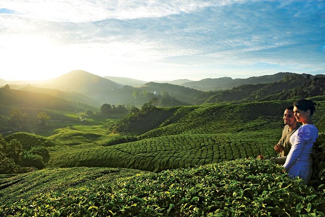 Private Nature Trip to Cameron Highlands from Kuala Lumpur - Leaving Kuala Lumpur for the Cameron Highlands