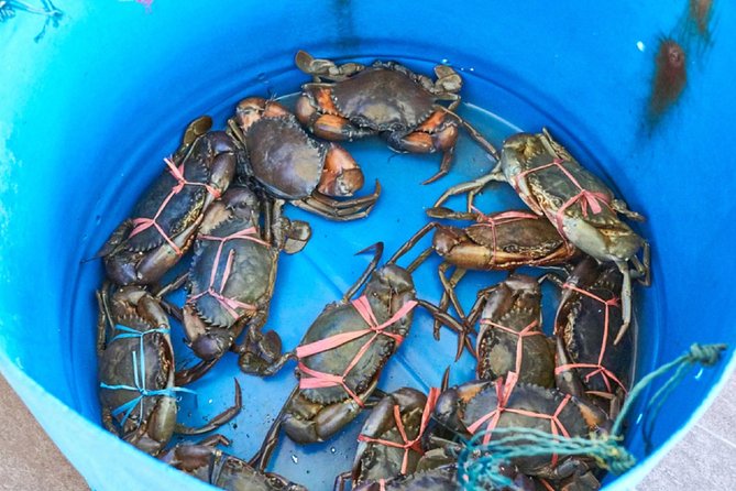 Private Tour: Crab Island Sightseeing Boat Ride and Seafood Lunch - Walking through the car-free fishing village