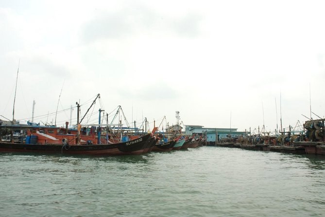 Private Tour: Crab Island Sightseeing Boat Ride and Seafood Lunch - What $125 per person really covers
