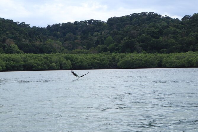 Private Tour: Southern Island Geopark Tour from Langkawi - What the private format is worth