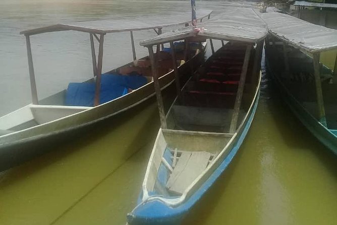 Private Transfer to Taman Negara from Kuala Lumpur - Arriving at Kuala Tahan Jetty