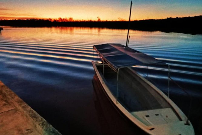 Proboscis Monkey and Fireflies River Cruise - Why Weston makes a worthwhile evening trip