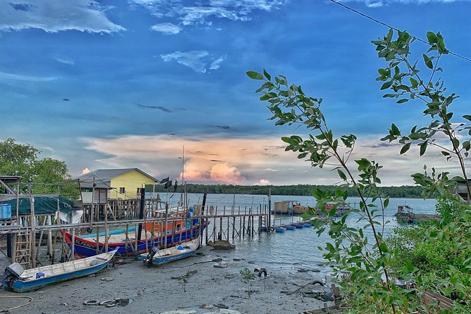 Pulau Ketam Rural Adventure Day Tour (SIC – Join In Tour) - Who should book this Pulau Ketam outing