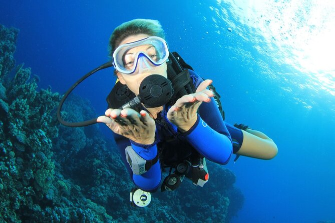 RAID Try-Dive Experience in Kota Kinabalu - The first short underwater session