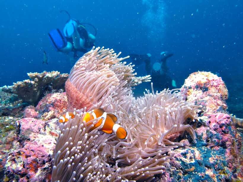 RAID Try-Dive in Kota Kinabalu, Sabah - The first lesson and the shallow-water session