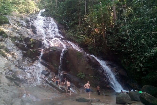 Rainforest-Cascading Waterfall & Batu Cave (Private Tour) - From Kuala Lumpur hotels to the rainforest