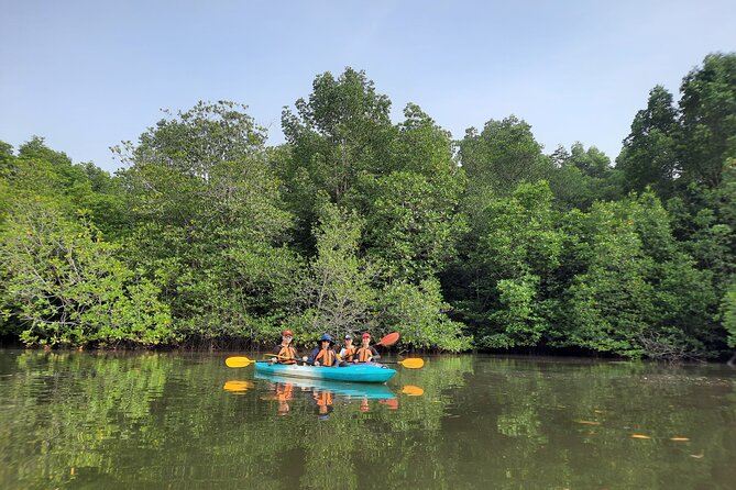 River Exploration and Mangrove Nature Tour by kayaking - Paddling into Sepang’s mangrove channels