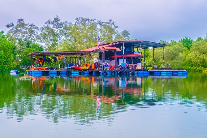 River Exploration and Mangrove Nature Tour by kayaking - Low tide wildlife and high tide forest