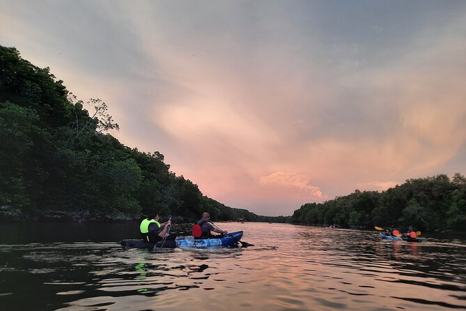 River Exploration and Mangrove Nature Tour by kayaking - Is $83.41 a fair price?