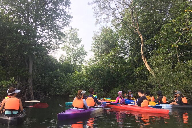River Exploration and Mangrove Nature Tour by kayaking - From the fishing jetty to the floating house