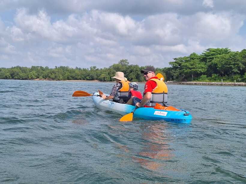 Round Ketam Kayaking at Pulau Ubin - Grey herons along the coast
