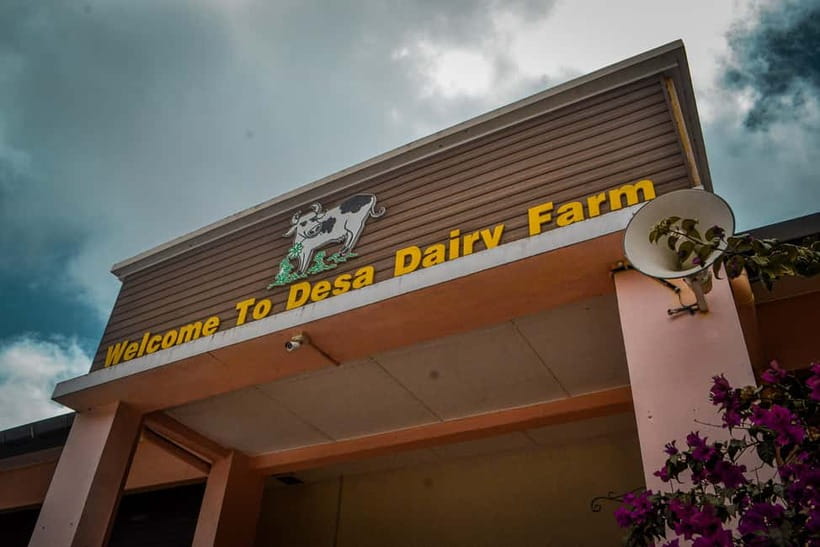 Sabah: Kinabalu Park, Poring Hot Springs & Desa Farm Tour - Booking advice before you commit