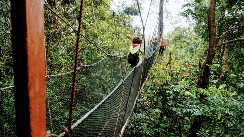 Sabah: Kundasang Nature Day Tour - Timing, crowds, and practical comfort