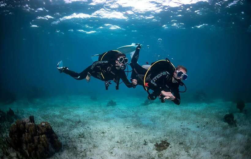 Sabah : Mamutik & Sapi Island Excursion Ticket - What three hours on Mamutik really means
