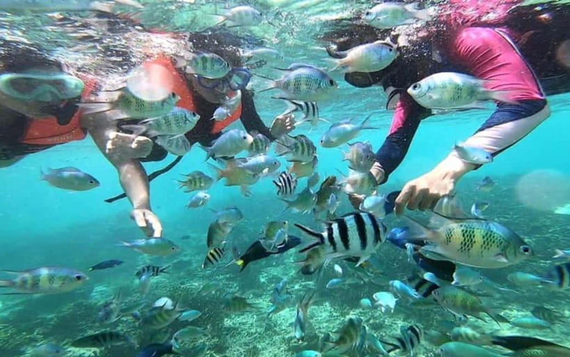 Sabah: Mantanani Island Day Tour with Lunch - Snorkeling in clear coastal water