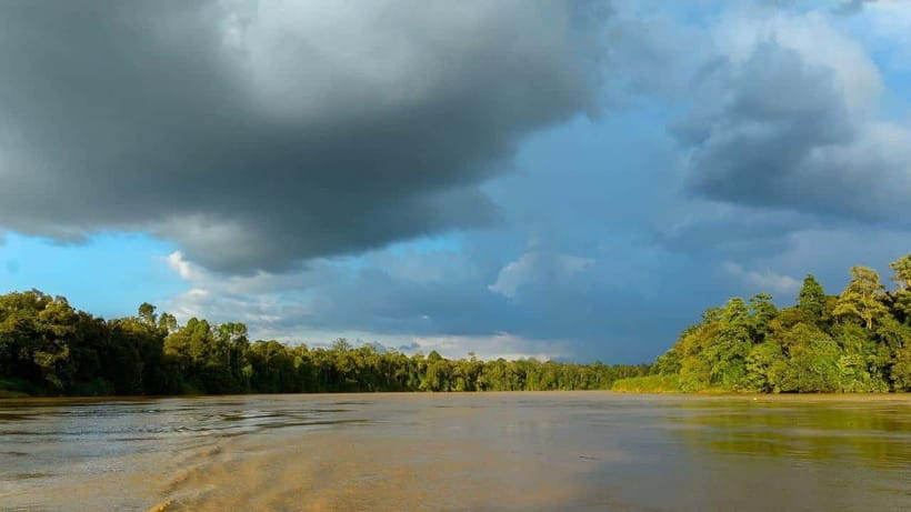 Sandakan: 2 Days 1 Night Bilit, Kinabatangan River Wildlife - Food, comfort, and practical packing