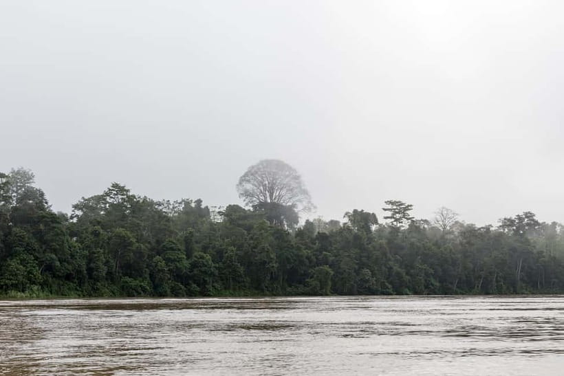 Sandakan: 3D2N The Wild Heart of Borneo River Secrets - What the $316 price really buys you