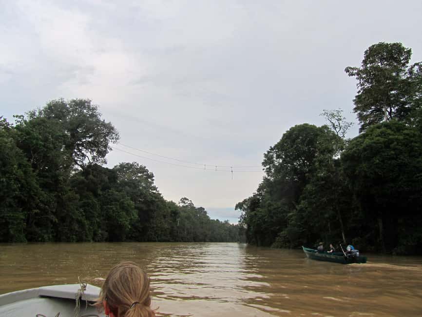Sandakan: Gomantong Cave Echoes & Kinabatangan River Safari - The morning drive from Sandakan or Sepilok